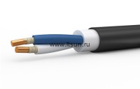 ППГнг(А)-FRHF 2х4  ок-1